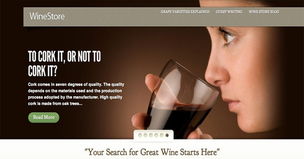 20個(gè)簡約的電子商務(wù)網(wǎng)站設(shè)計(jì)